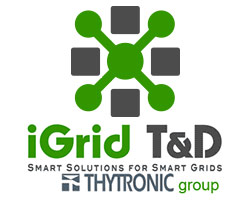 (c) Igrid-td.com